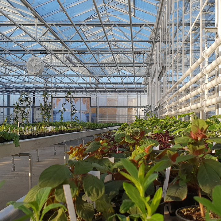 Bespoke greenhouses