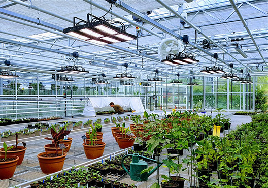 RHS Wisley Bicentenary Propagation House