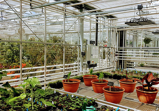 RHS Wisley Bicentenary Propagation House