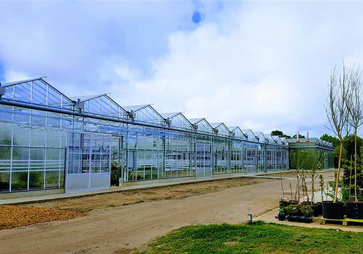 Propagation and Quarantine Glasshouse Facilities