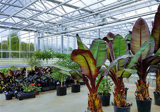 Propagation and Quarantine Glasshouse Facilities