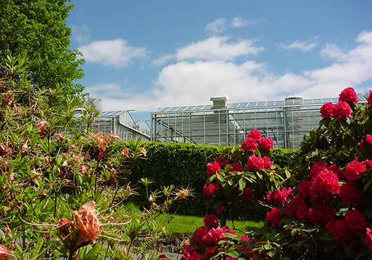 Aberystwyth University