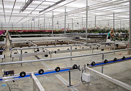 Double H Nurseries – New Orchid Nursery