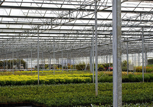 Palmstead Nursery